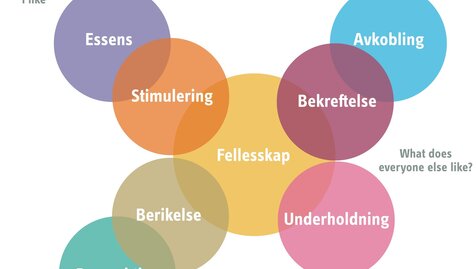 Culture Segments orientation map secondary preferences NOR
