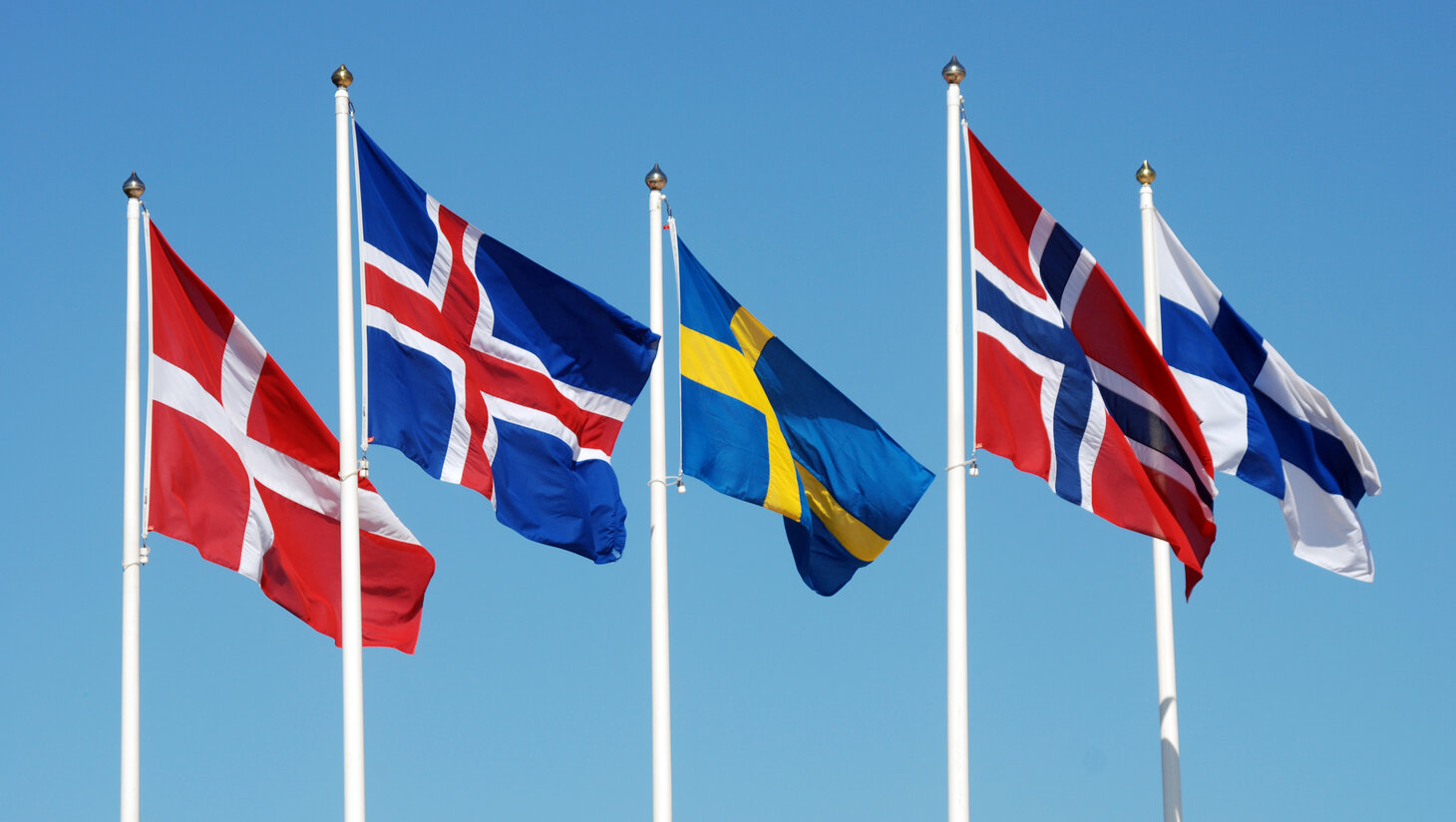 Nordiske Flagg Bilde